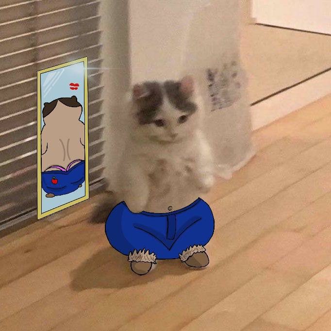 Mention image