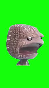 Mention image