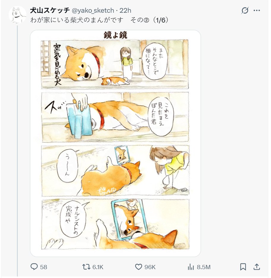 Mention image