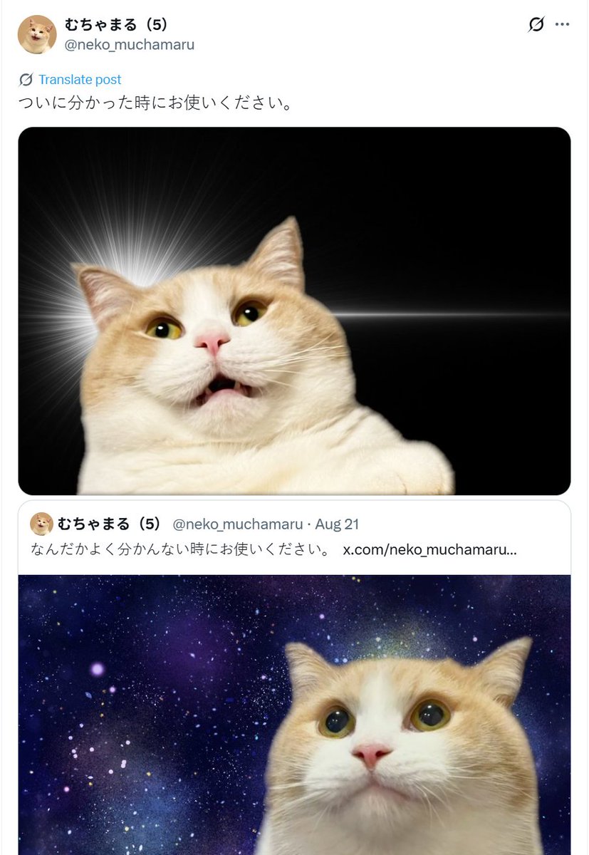 Mention image