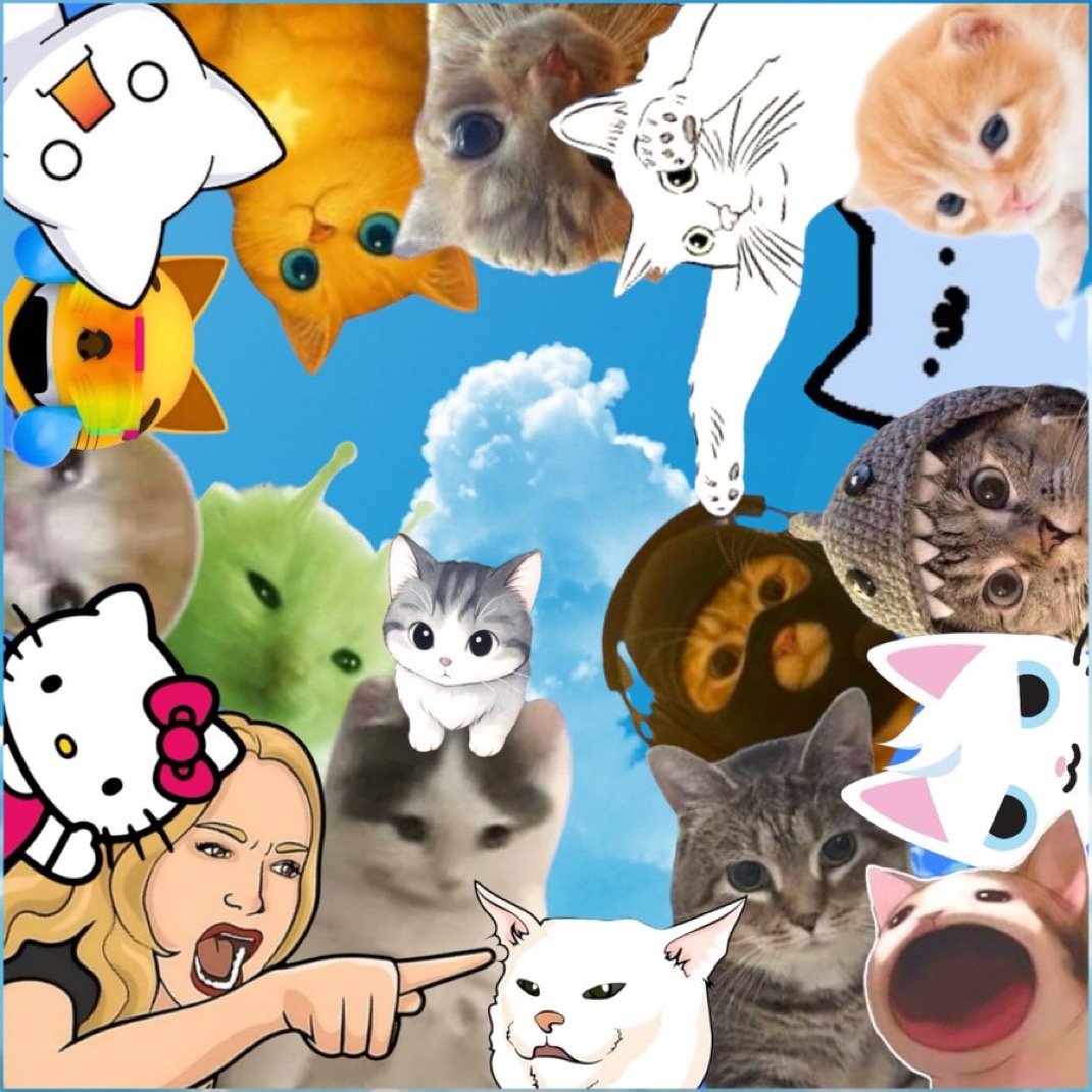 Mention image